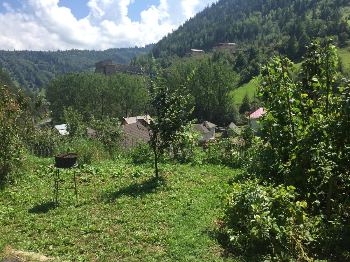 Acasa In Bicaz-Chei - Camere De Inchiriat Cheile Bicazului Exteriér fotografie